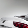 Спойлер для Volkswagen Tiguan (2020-н.в.) купить недорого с доставкой в Копейск