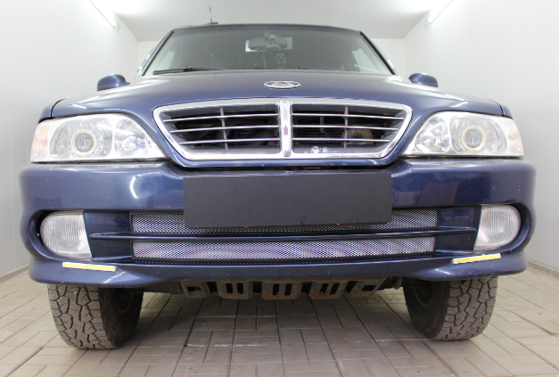 защита радиатора "standart" таГ@З road partner (2008-2014) хром купить недорого с доставкой в Копейск